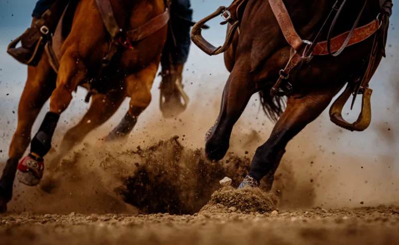 NDFB announces photo contest winners